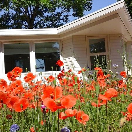 Het Findament Tiny House Βίλα Χίλβερσουμ Εξωτερικό φωτογραφία