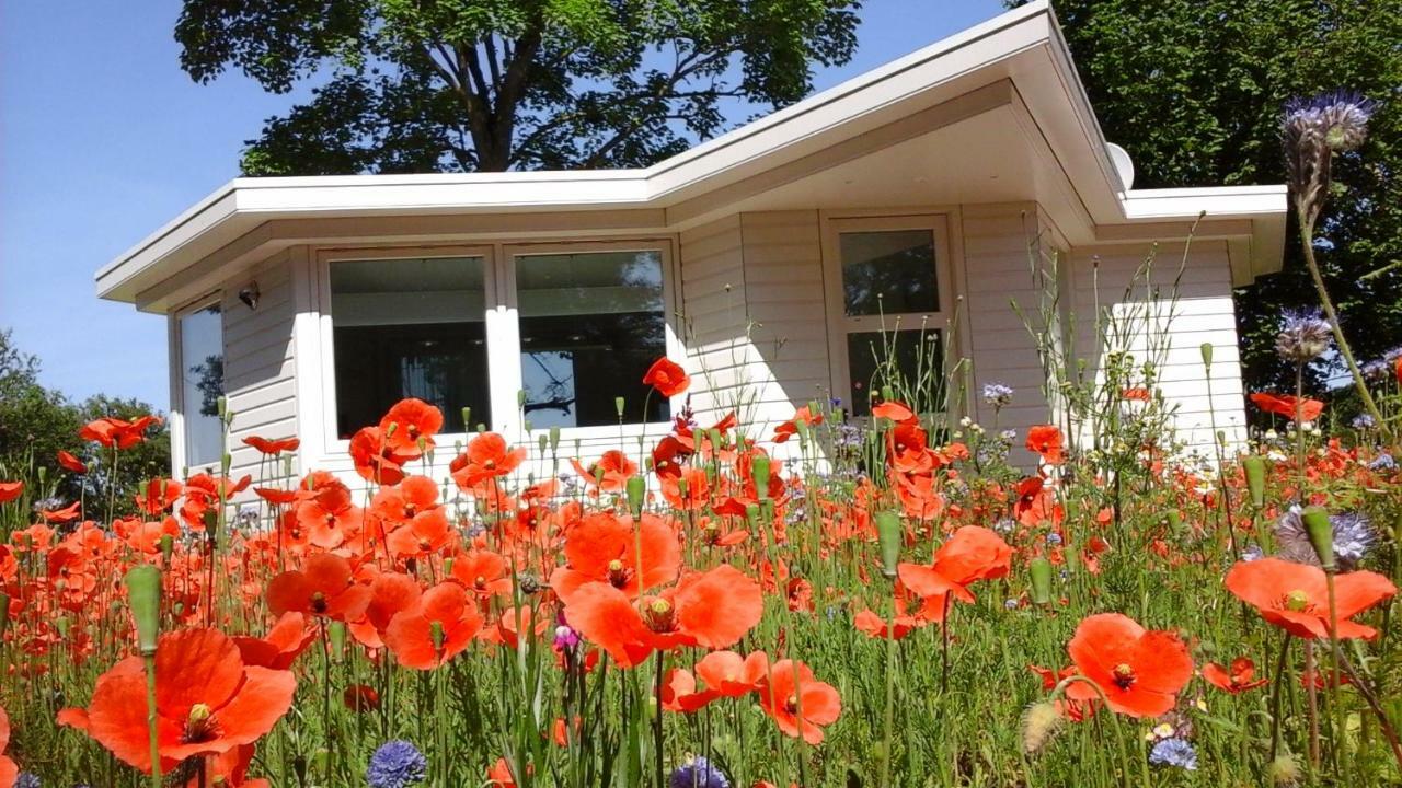 Het Findament Tiny House Βίλα Χίλβερσουμ Εξωτερικό φωτογραφία