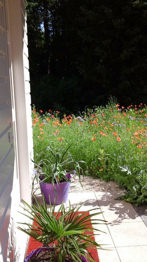 Het Findament Tiny House Βίλα Χίλβερσουμ Εξωτερικό φωτογραφία